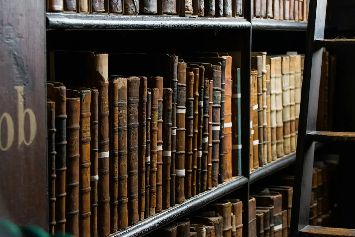 Shelves of leather-bound law books